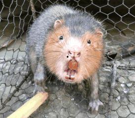 娱乐新闻 第3页